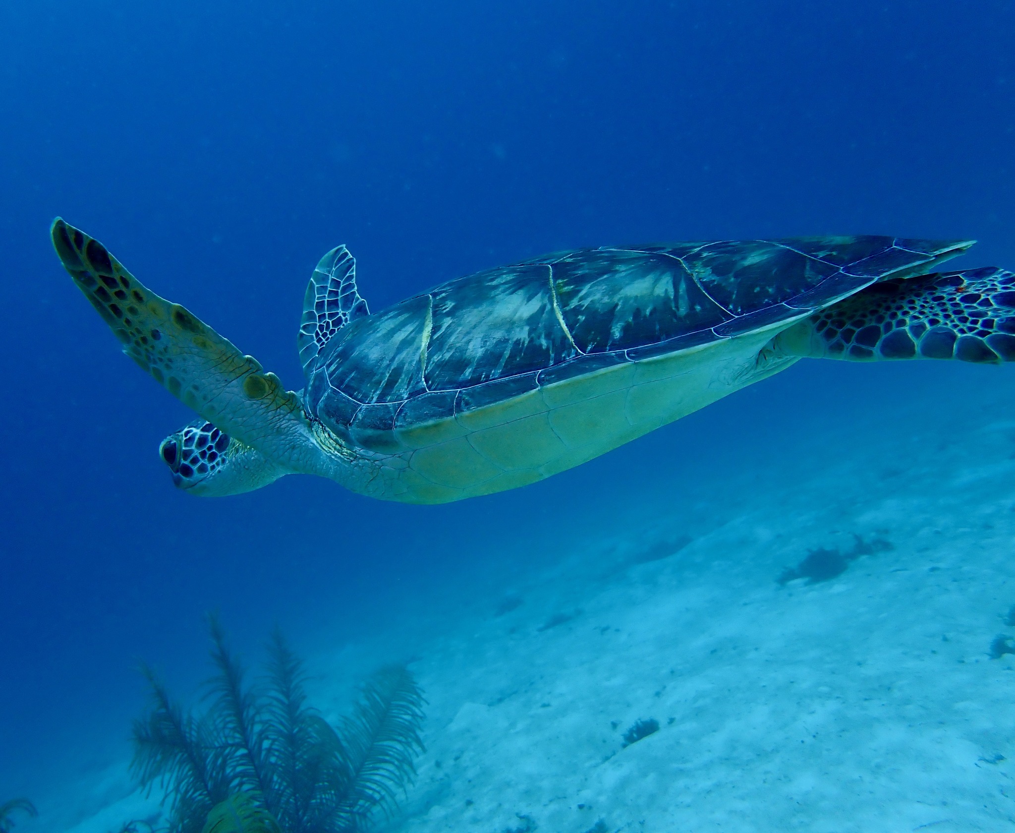 Life Worth Leading mission and vision